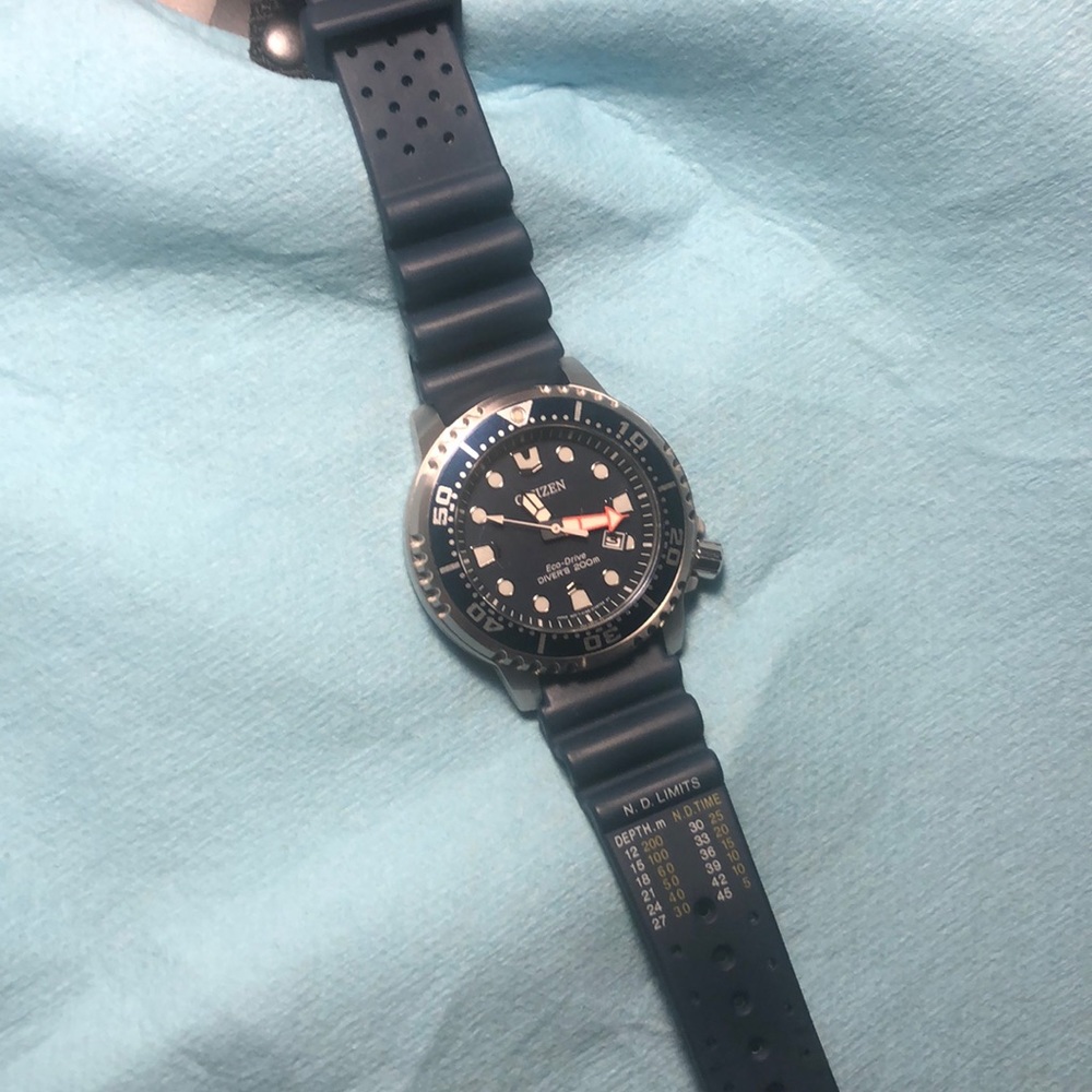 Citizen pro master diver watch
